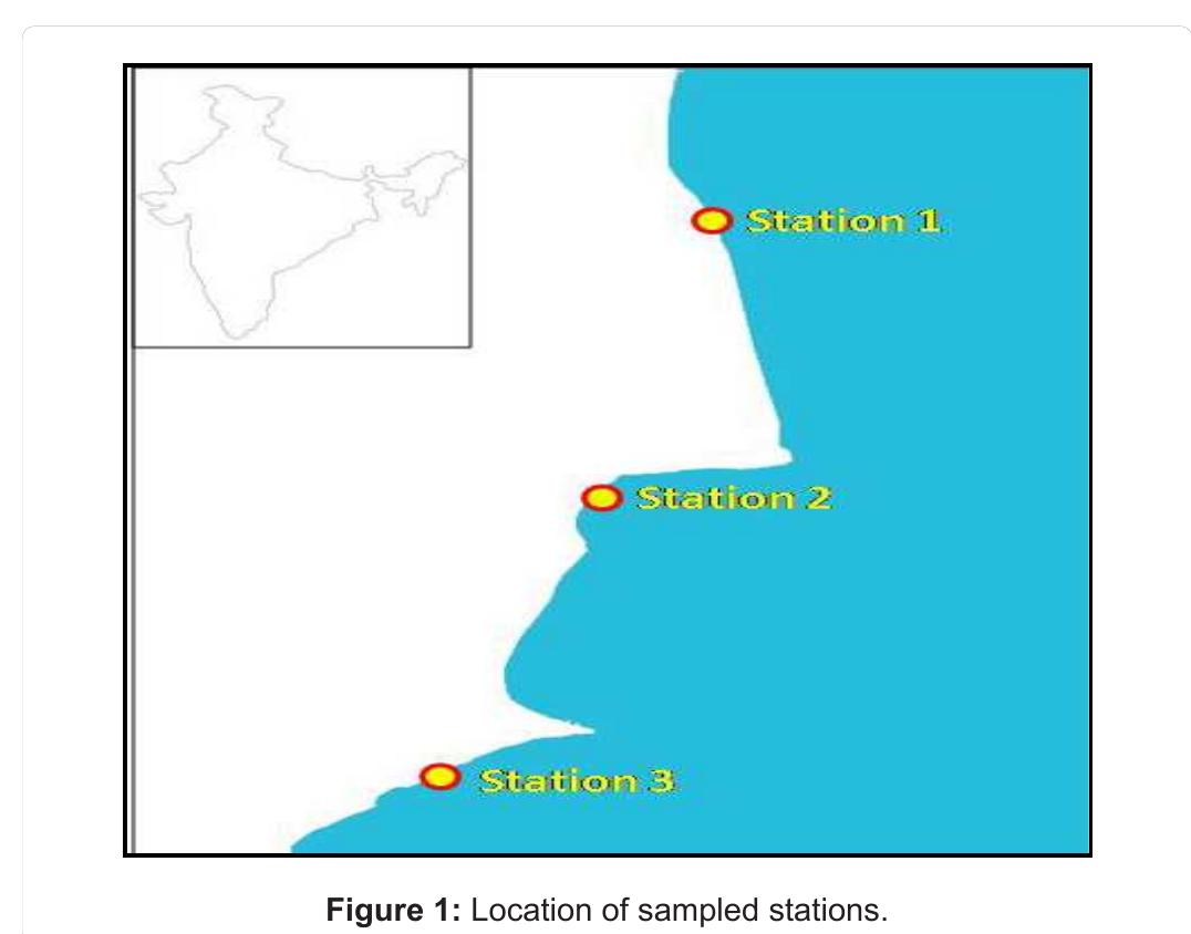 (PDF) Distribution and Diversity of Macrobenthos in Different Mangrove ...