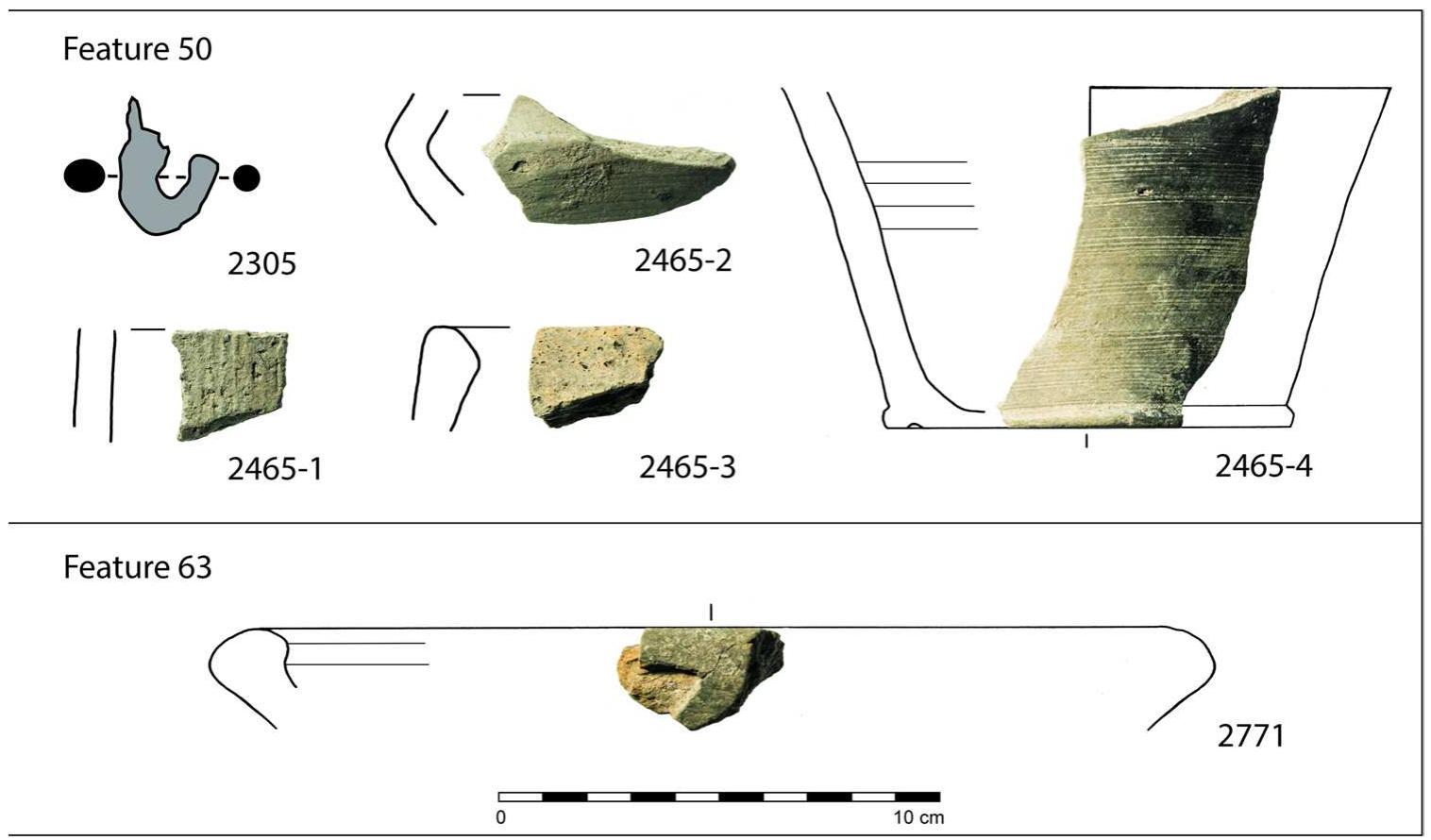 The prevalence of the domesticated species and the general composition of the faunal remains bear significant similarities to the faunal material from other contexts within the settlement of Haselbach, which comprises more than 6,000 identified animal remains (Saliari and Trebsche 2023). However, the relatively high number of horses (NISP=10) documented in the enclosure (Feature 63) is remarkable (Fig. 10(a—c,); Table 5), especially when considering the   In total, 53 animal bones and teeth weighing 1019.6 g were identified and analysed from the enclosure in Haselbach (Fig. 10 and Table 5); 28 fragments remained uni- dentified (34.1%). The vast majority of the archaeozoologi- cal material derives from Features 50 (n=25) and 63 (n=21); only one bone was identified from Feature 62. The identified 