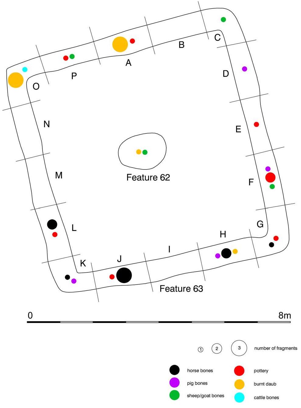 Fig. 8 Haselbach. Distribution of macro-finds in Features 62 and 63. Graphics: M. Staudt  of the faunal remains were left exposed on the ground or were only partially buried. The relatively well-preserved pig humerus suggests that the bone was not exposed for an extended period of time. 