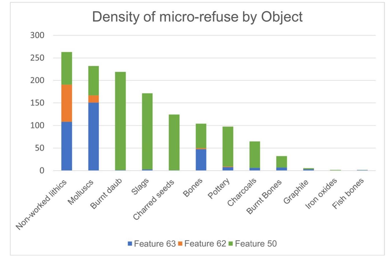 Two out of six samples from Feature 63 (no. 2679 and 3254) present two different microlayers, as in Feature 50. One 