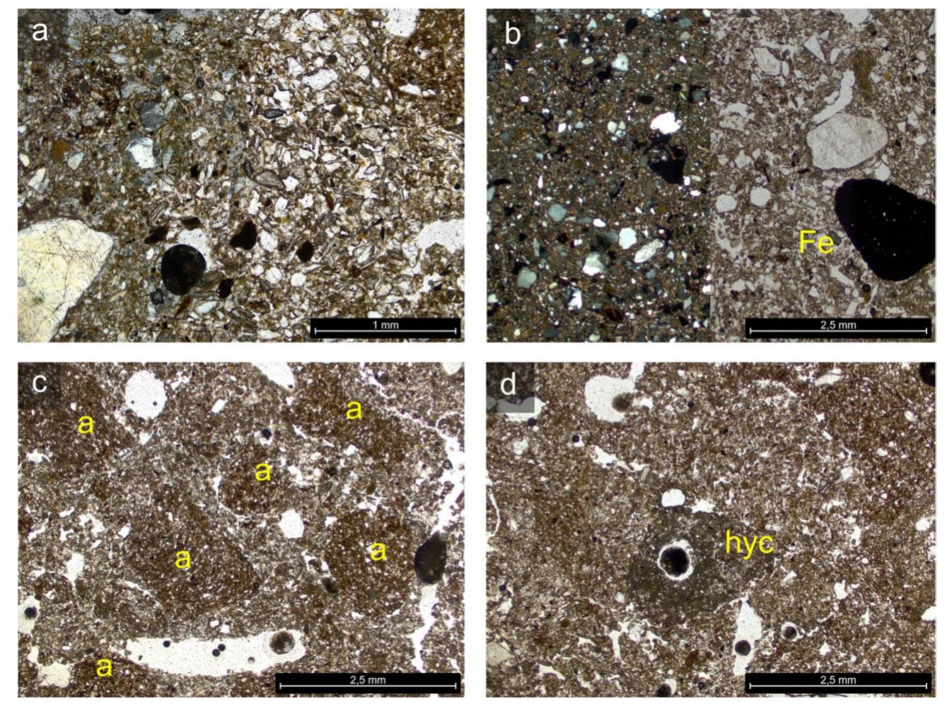 Fig. 16 Haselbach. Photomicrographs of thin sections from Fea- ture 62 illustrating the main features of its deposits: a Overview of the groundmass in sample 2778, showing a massive structure and a composition as well as organisation of the minerogenic particles that resembles the deposits in Feature 50. More and larger iron nodules [Fe] are also visible. Left in XPL and right in PPL; b Detail of the deposit in sample 2778 showing a sandier (thus coarser) groundmass. Left in XPL and right in PPL; c Another overview of the ground-  mass of the fill in Feature 62: large (pebble-sized) aggregates of an organic-rich sandy clay loam [a] are interspersed and mixed by bio- logical agents into a more calcareous sediment (the underlying loess substrate). PPL; d example of biological activity in the Haselbach deposits. In this case, a root hasdisturbed the sediment disturbance (former presence identified by a calcite-rich hypocoating [hyc] of the root channel). The bubble in the centre of the pore is an artefact of sectioning. PPL. Graphics: S. Cereda  daub, lithics, molluscs, charred seeds, charcoals, graphite, pigments, fish bones, iron oxides, dung and ashes (the last two visible only in thin section), also reflect the disposal of rubbish and fire-related residues (i.e. secondary refuse).  Thus, although this shallow pit may have been destined for other purposes as well, it was at a certain point used to col- lect mixed rubbish. The composition of micro-refuse compo- nents suggests that this originated from domestic activities 