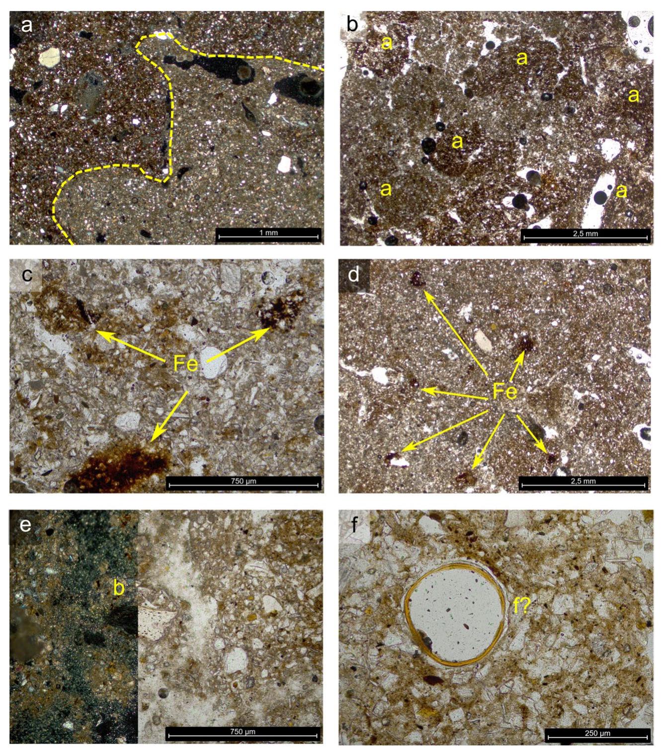 Fig. 17 Haselbach. Photomicrographs of thin sections from Feature 63 illustrating the main features of its deposits: a Overview of the two different sediment types, recurring in all studied samples. Although they present overall the same texture, coarse composition and fab- ric, their groundmass varies notably: the deposit on the left side of the image is reddish-dark brown, partly organic and oxidised. On the right side, a grey micritic groundmass is characterised by a calcitic- crystallitic groundmass. The boundary between the two deposits is relatively evident and quite convoluted. XPL; b same as the previ- ous image but in this case the reddish/oxidised deposit is visible in  the form of rounded and sub-rounded aggregates [a] interspersed in the micritic layer. PPL; c-d examples of Fe/Mg ox(hydr) [Fe] fre- quently observed in the groundmass of the deposits from Feature 63. Both photomicrographs are in PPL; e detail of the only bone frag- ment found in the ditch of this enclosure. The bone structure appears isotropic in XPL (on the left), suggesting bad collagen preservation; see also a series of fine dark dots—osteocytes—in PPL (on the right); f detail of the circular, small-sized (~250 jum in diameter) parti- cles, hollow and with an organic orangey and smooth coat, possibly belonging to a fungal spore [f?]. PPL. Graphics: S. Cereda 