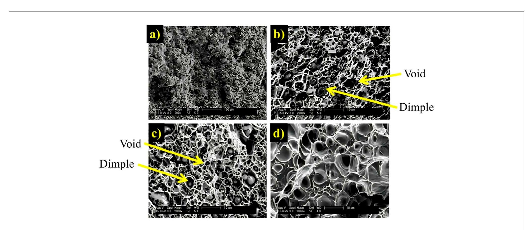Sem images of the tensile fracture surface of the