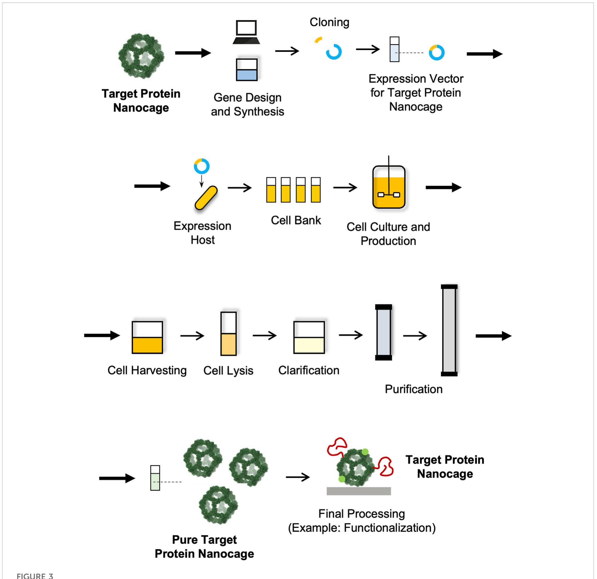 Schematic representation of a manufacturing process for