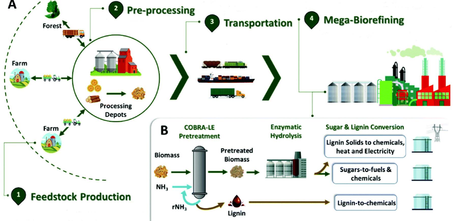 (PDF) The significance of biomass densification in biological-based ...