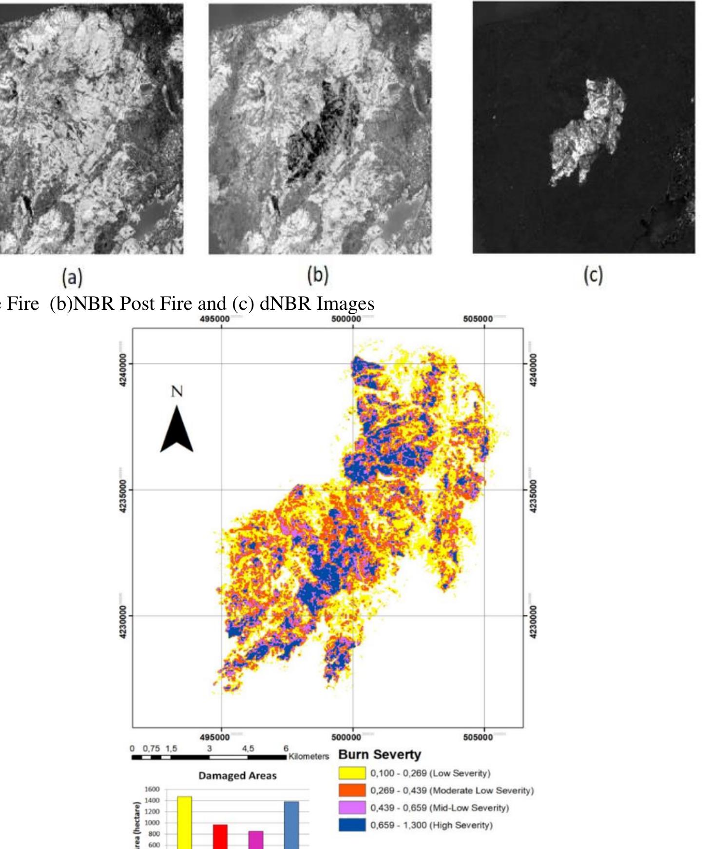 (PDF) Determination of Spatial Distribution of Damage Intensity of ...