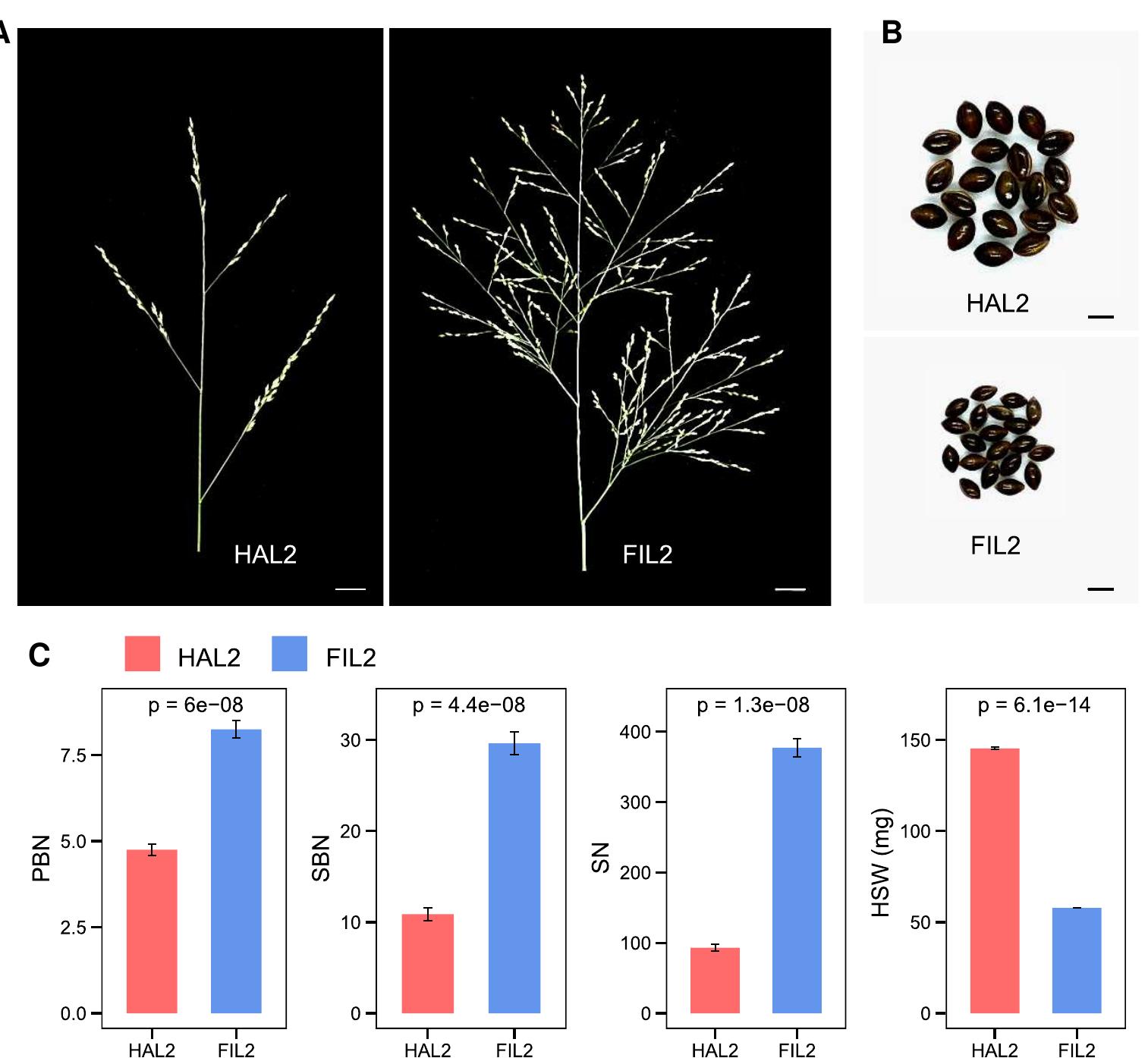 Ecotype Scale (PDF) Transcriptome and DNA methylome divergence of inflorescence ...