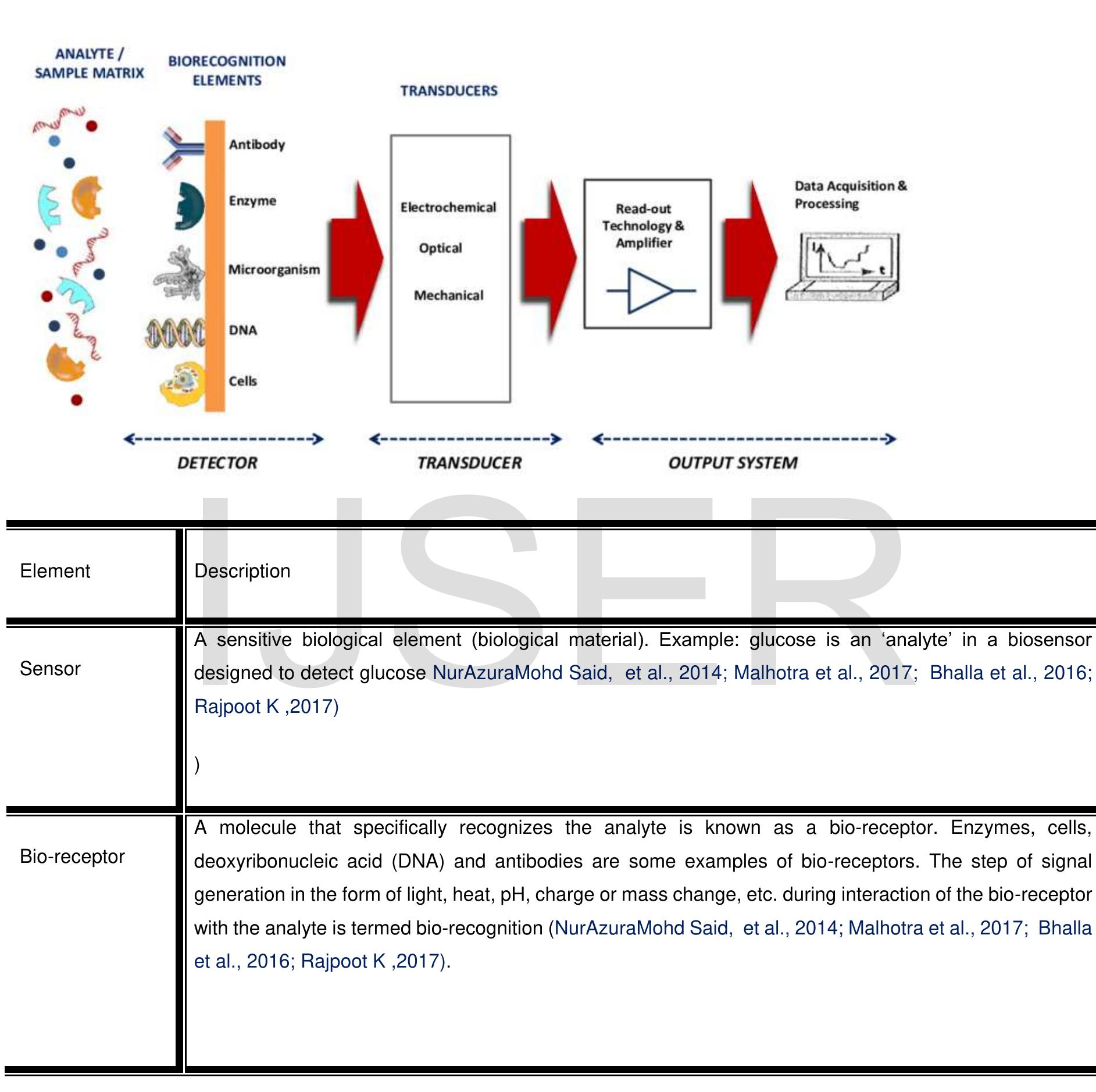 1 schematic representation of a biosensor (nurazuramohd