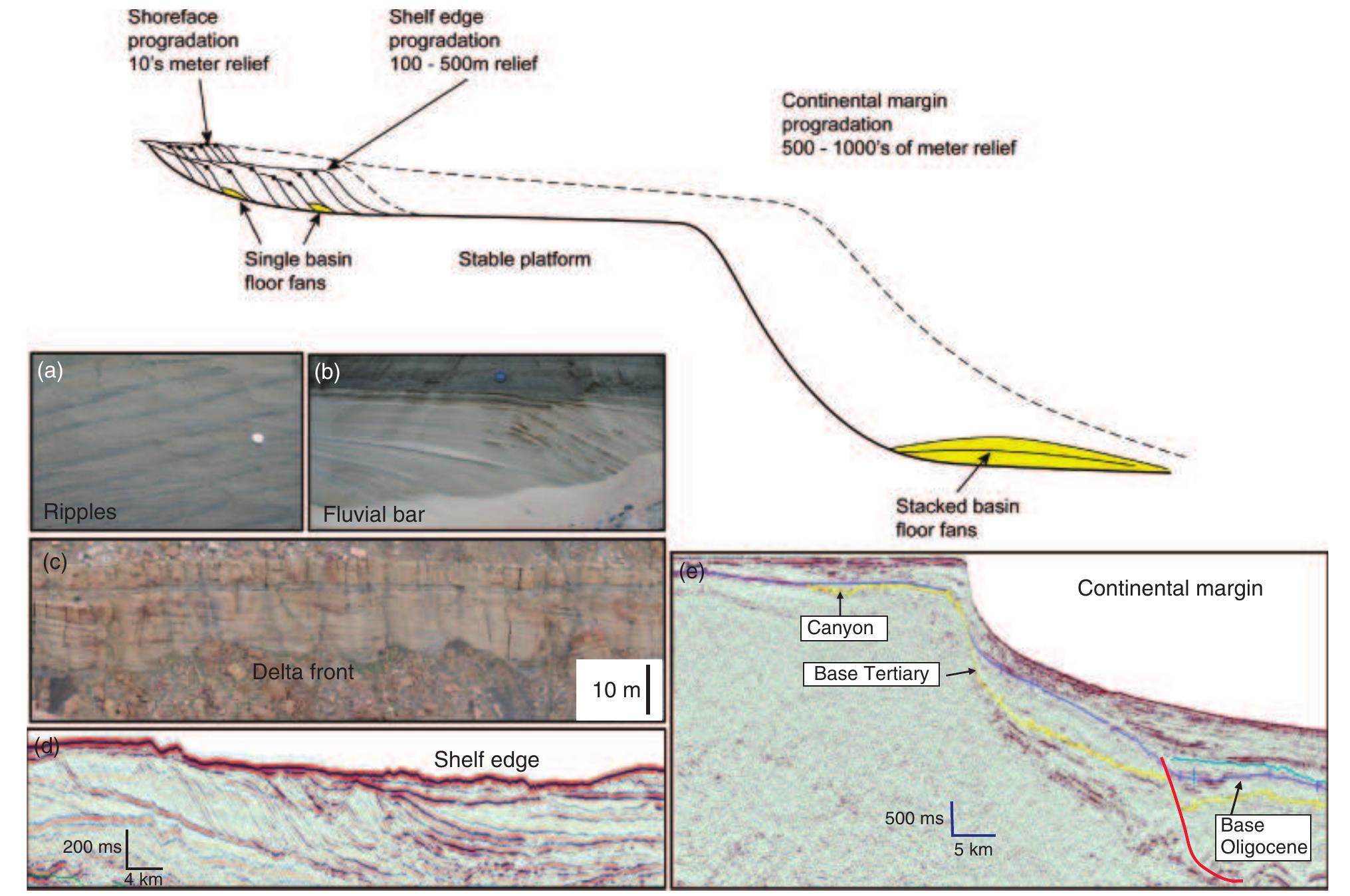 (PDF) Shelf edge and shoreline trajectories, a dynamic approach to ...