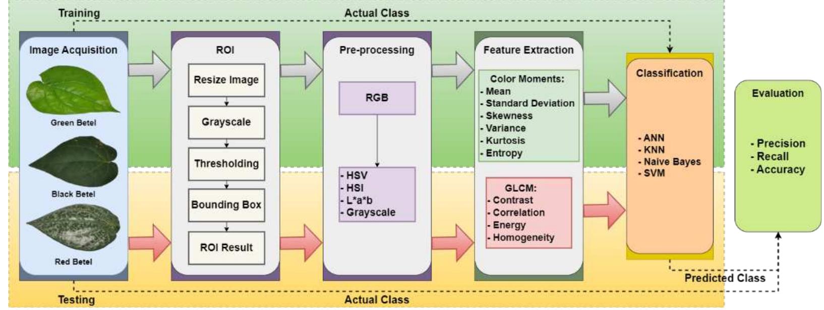 (PDF) Betel leaf classification using color-texture features and ...