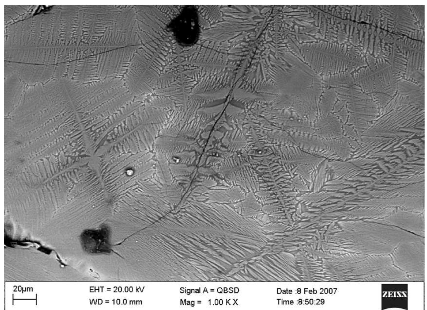 14 slag sample 5, sem section showing star-like silicatic