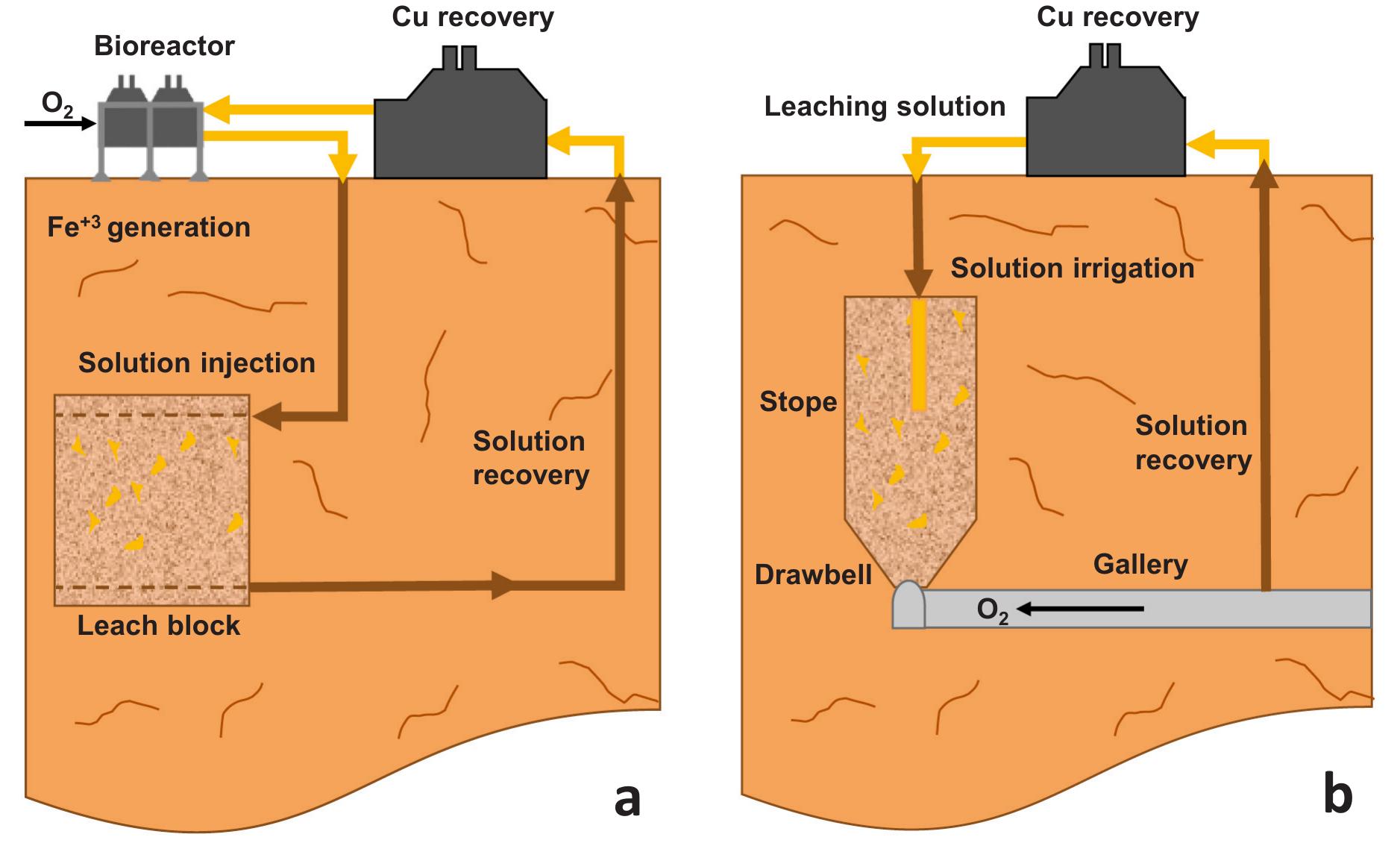 (PDF) In situ recovery of copper sulfide ores: Alternative process ...