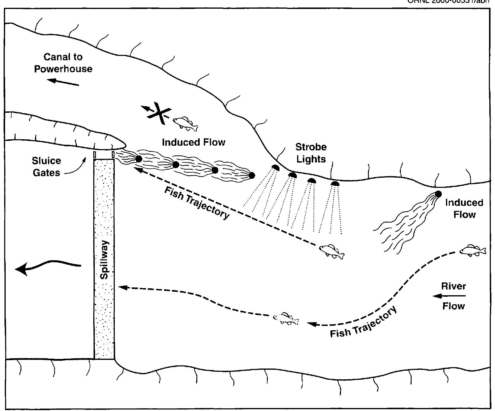 (PDF) Integrated, multi-sensory, behavioral guidance systems for fish ...