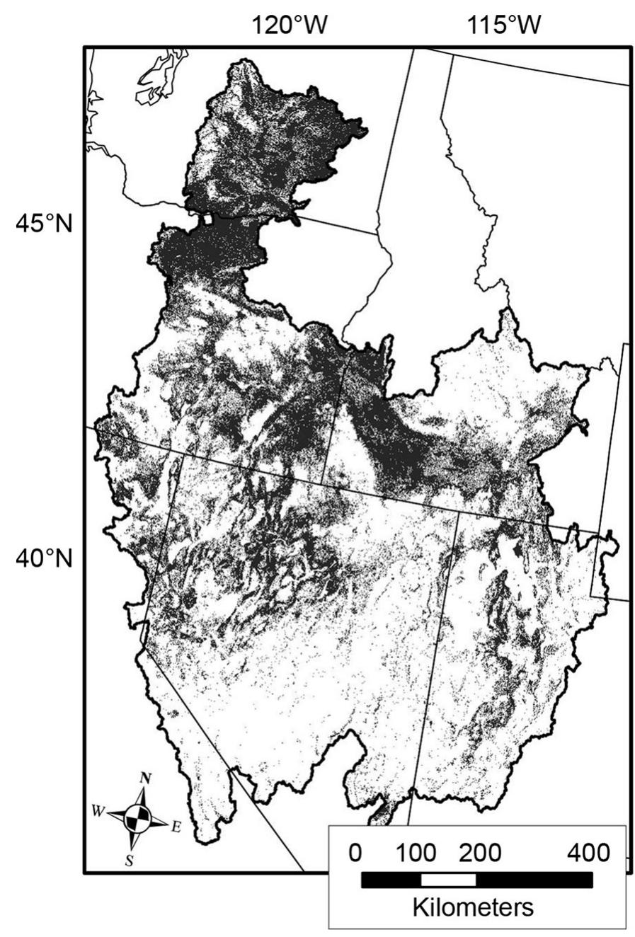 Fig. 4 Distribution map of abundant cheatgrass presence  (> 15% cover; gray areas) within the Great Basin ecoregion based on MODIS predictors 