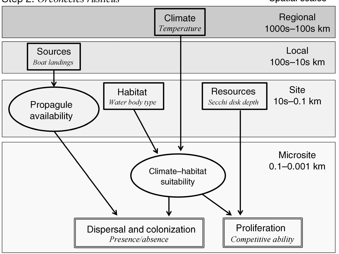 Fic. 4. Step 2. Data—model integration for the crayfish Orconectes rustiscus. The format is as in Fig. 2. 