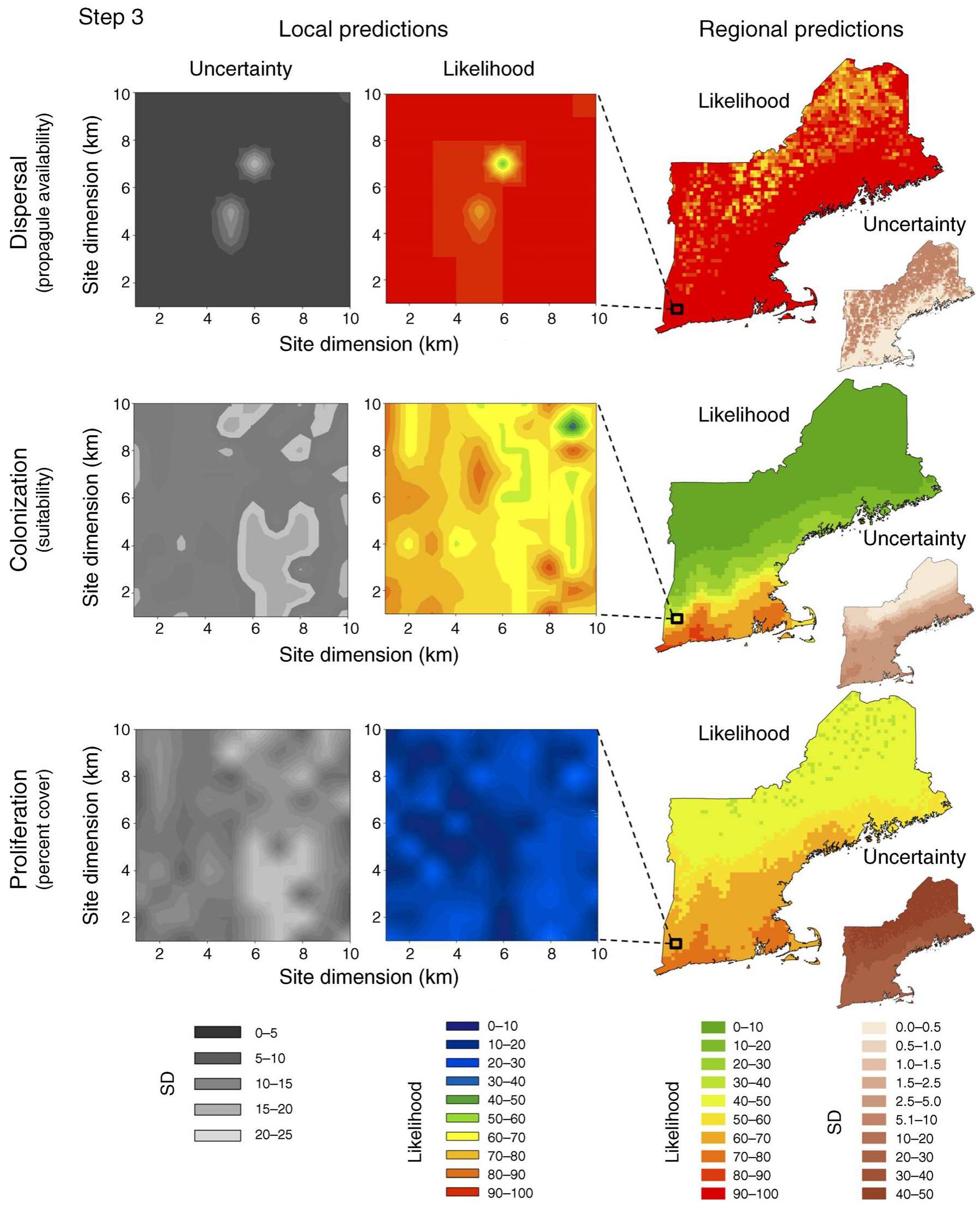 Fic. 5. Step 3. Invasion assessment of Ce/astrus in the region of New England (USA) and for a 10 X 10 km local site within the region. Posterior mean estimates and standard deviations (uncertainty) are provided for the likelihood of (top panels) dispersal (determined by propagule availability), of (middle panels) colonization (estimated as climate—habitat suitability), and of (bottom panels) proliferation (modeled as percent cover). 