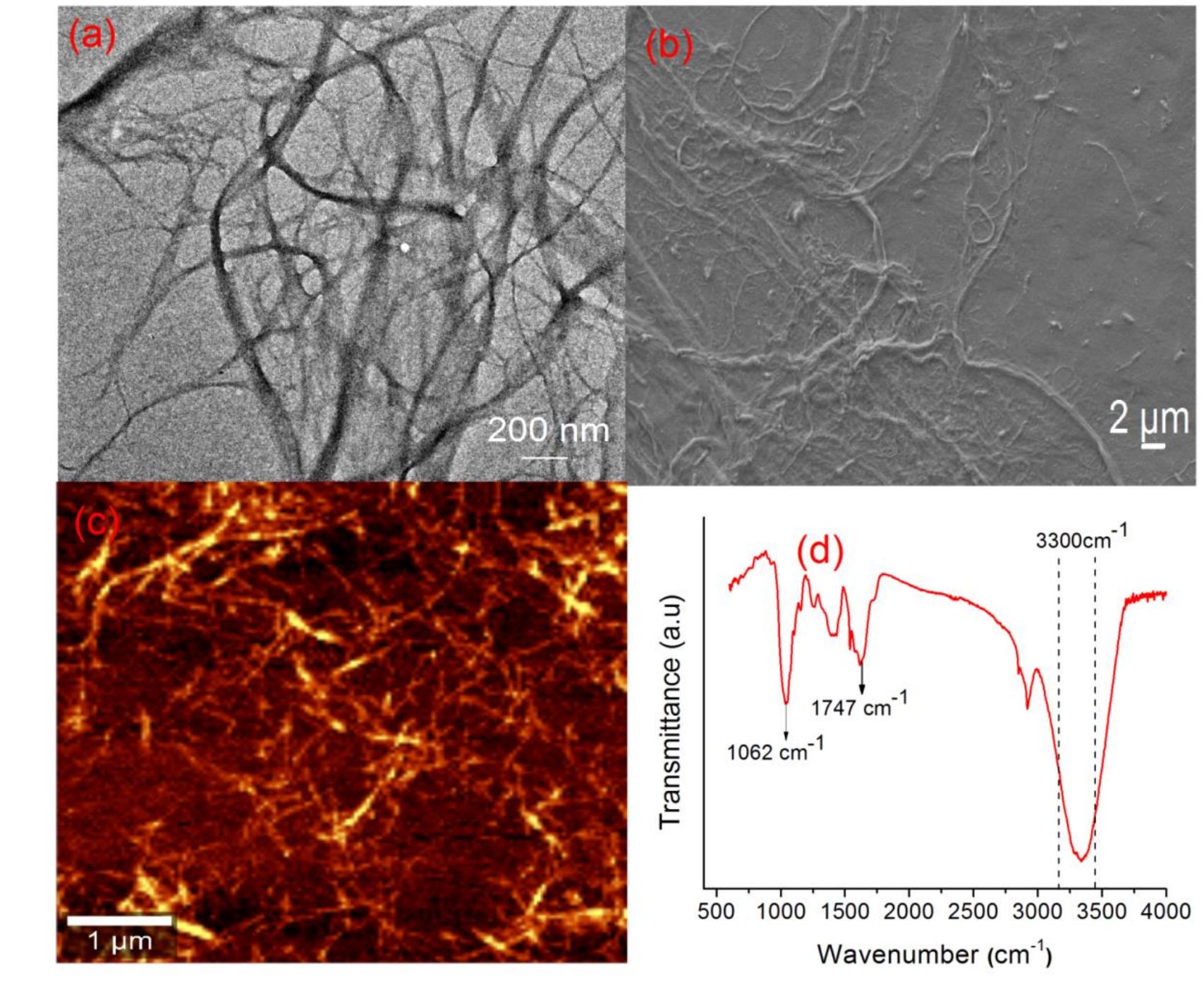 (a) tem image of nanofibers (b) fesem images of nanofibers