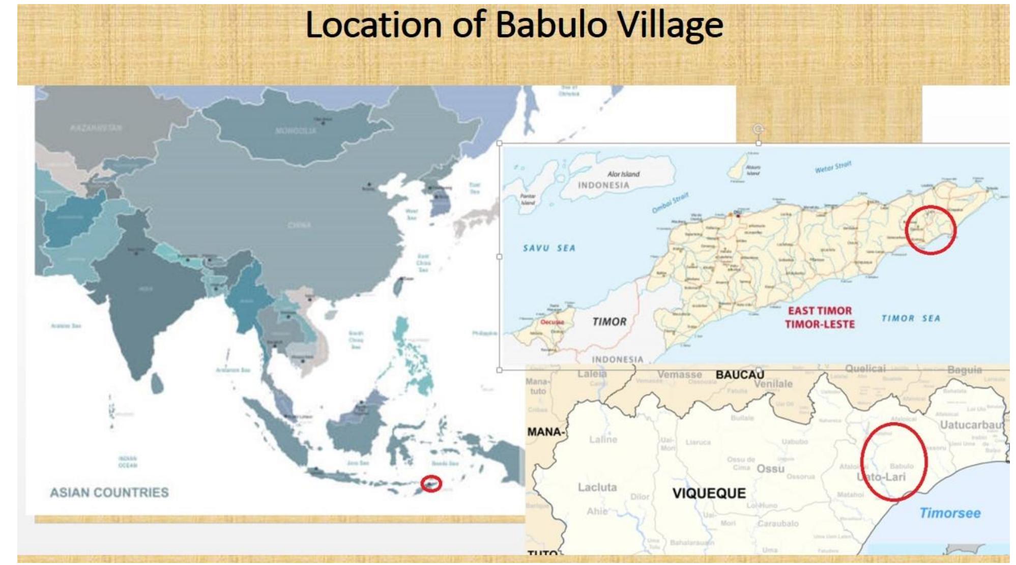 (PDF) Cultural Revival in Timor-Leste: Representing Babulo Village ...