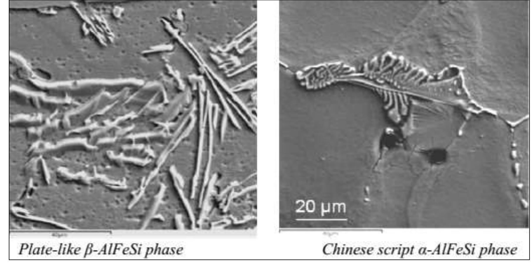Sem micrograph showing different morphology of as cast b and
