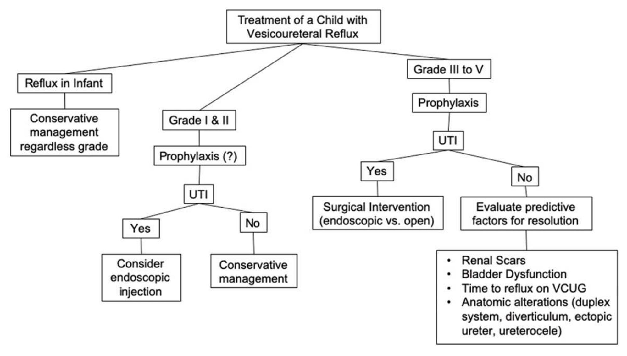 (PDF) Brazilian consensus on vesicoureteral reflux–recommendations for ...