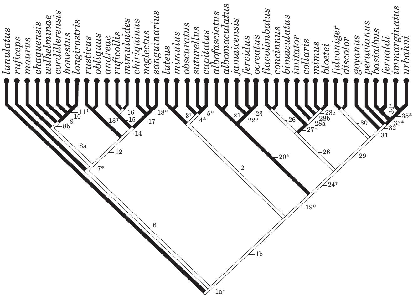Bascal Clade (PDF) Phylogeny of the New World Dysdercus (Insecta: Hemiptera ...