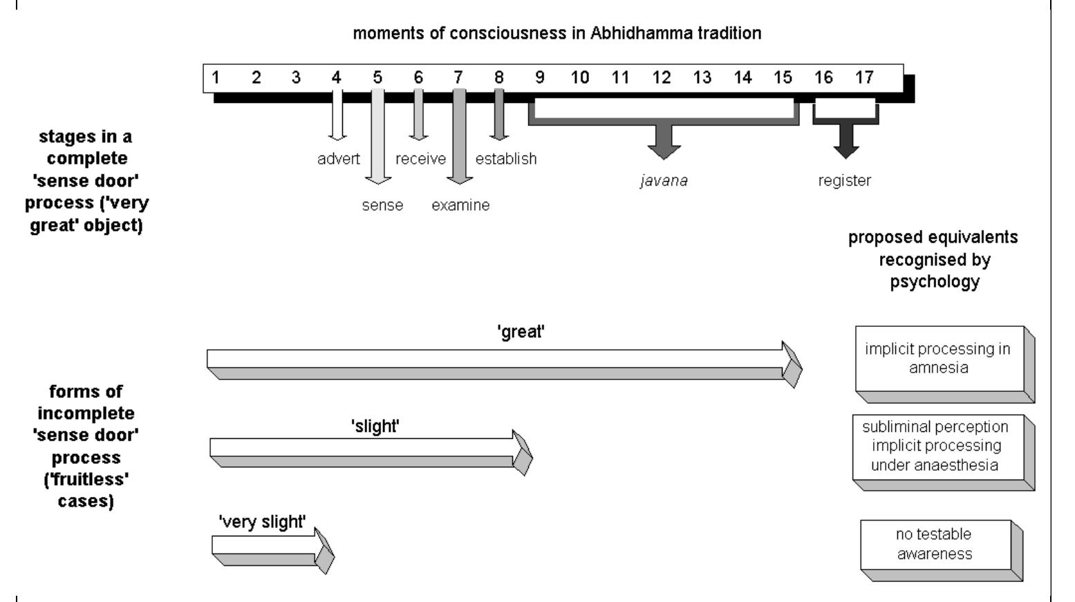 (PDF) On the Stages of Perception: Towards a Synthesis of Cognitive ...