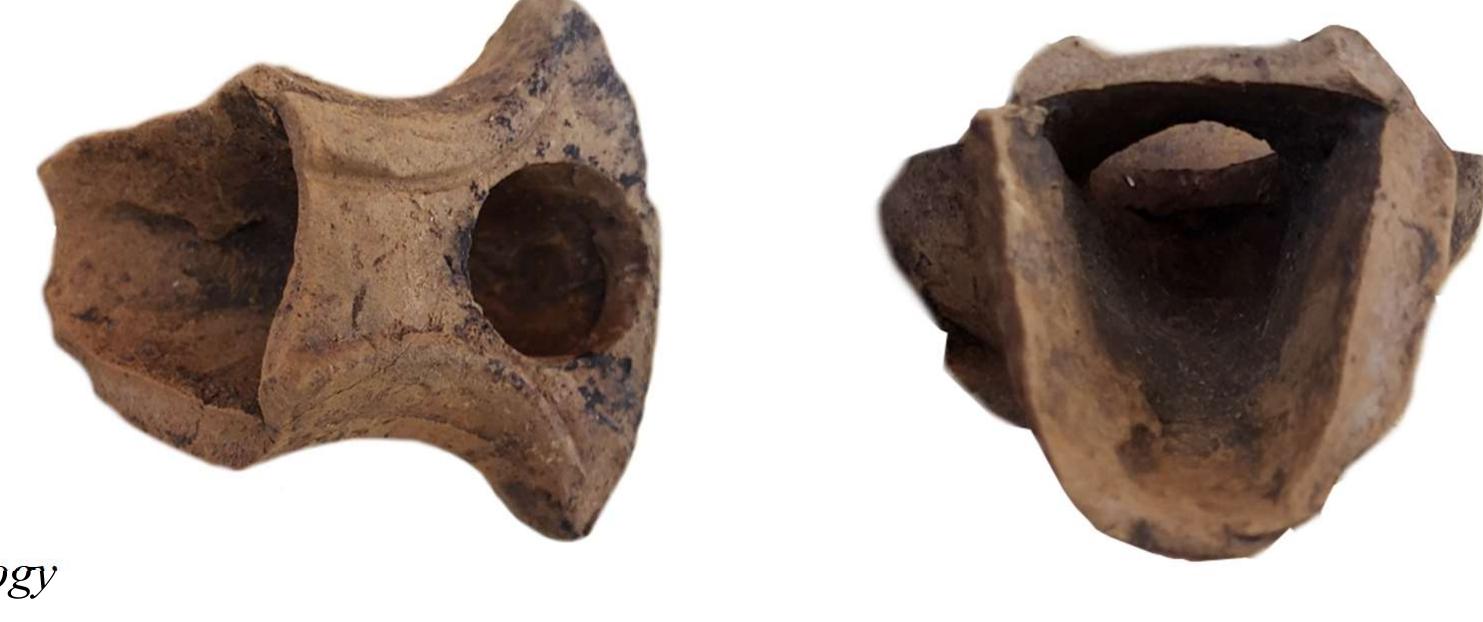 Pdm Sample (PDF) A TYPOLOGICAL AND CHEMICAL ANALYSIS OF ROMAN OIL LAMPS FROM ...