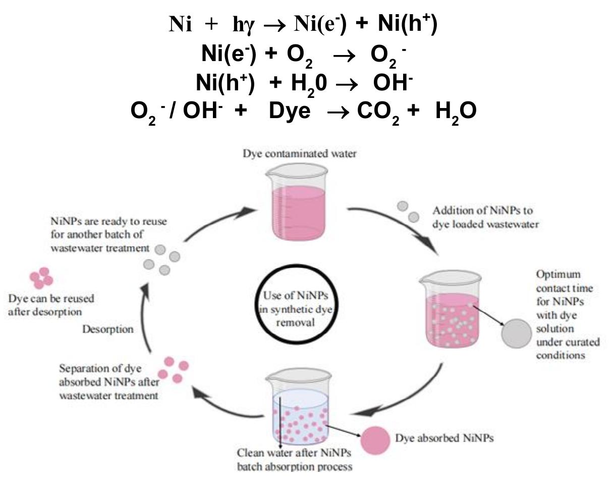 (PDF) Synthesis and Applications of Nickel Nanoparticles (NiNPs ...