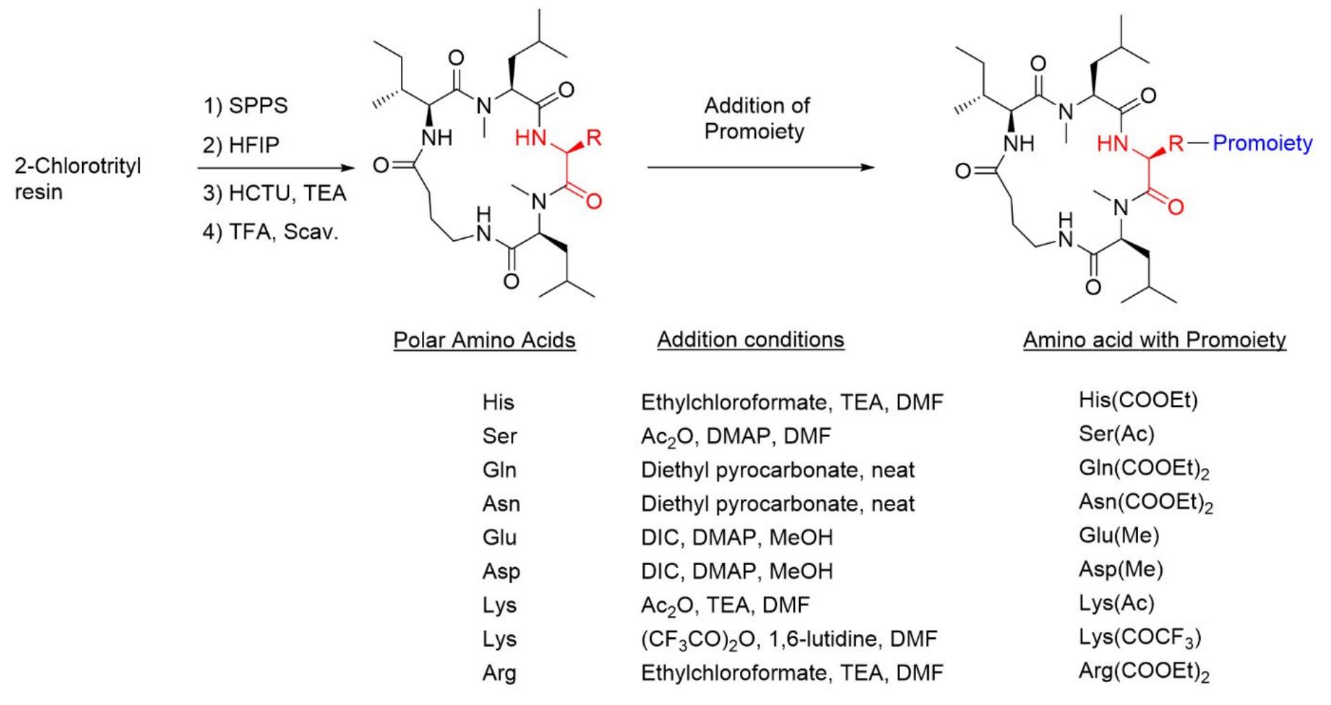 Promoiety Structure (PDF) Improving Membrane Permeation in the Beyond Rule-of-Five Space by ...