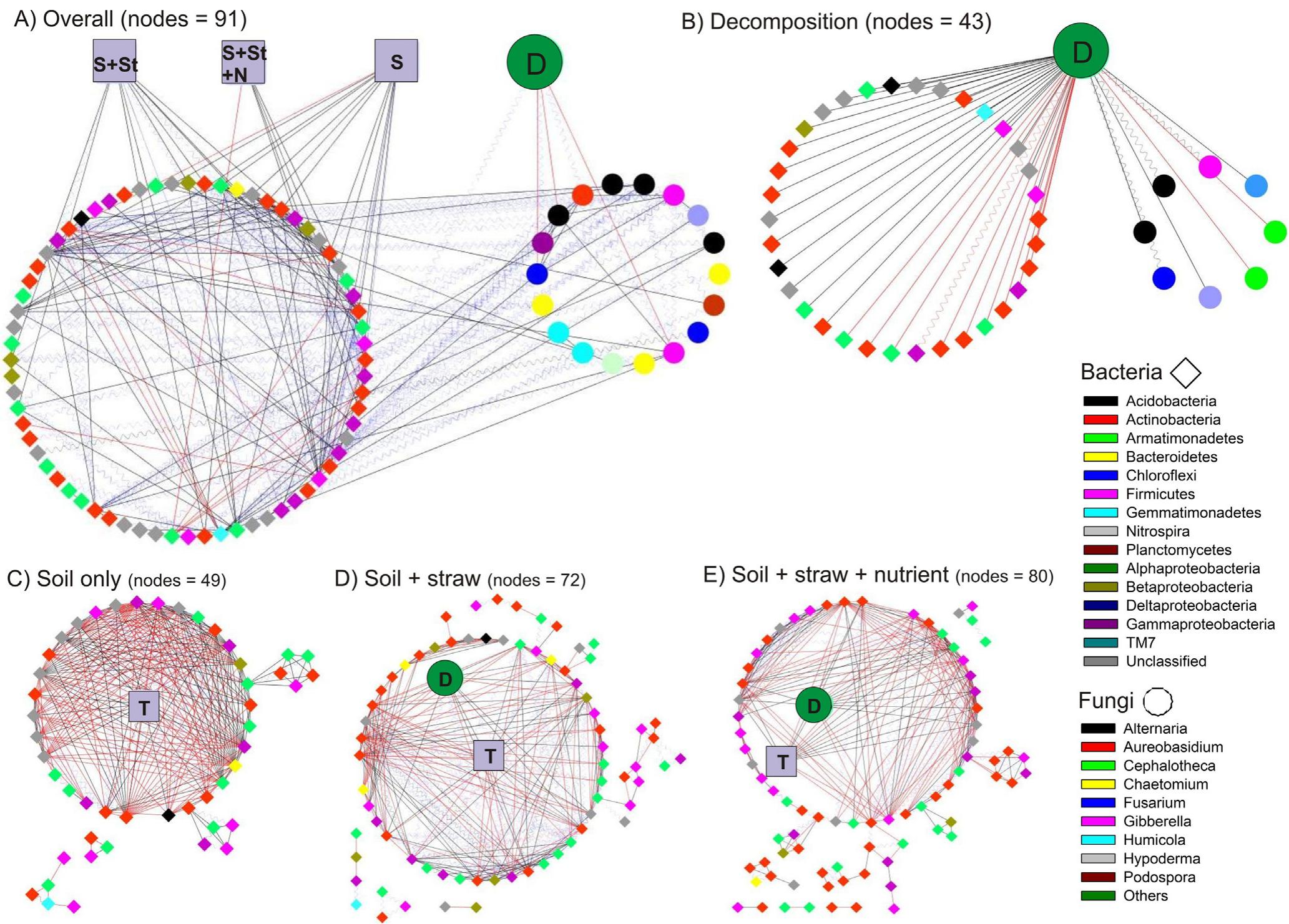 Network analysis showing bacterial and fungal co-occurrence