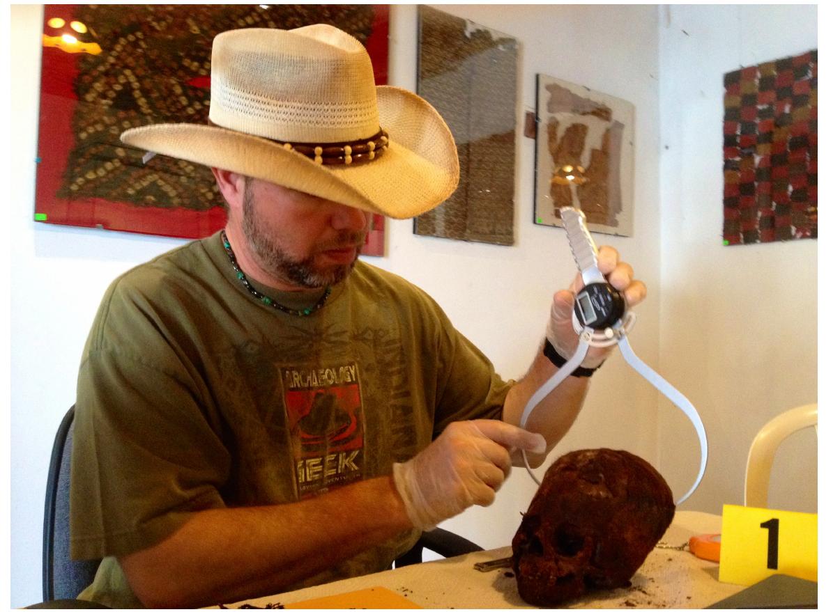 Inca Scull (PDF) The Elongated Skulls of Paracus, Peru: An Osteological Evaluation