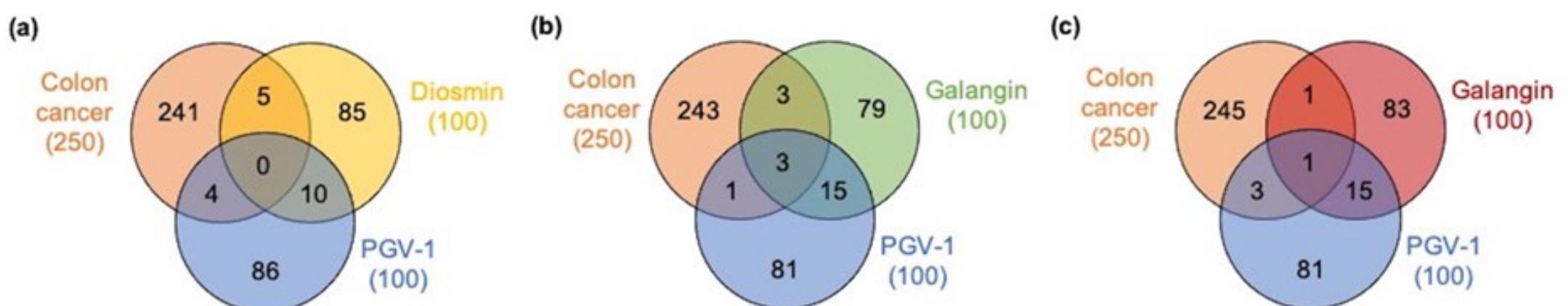 (PDF) The Synergistic Effect of Combination of Pentagamavunone-1 with ...