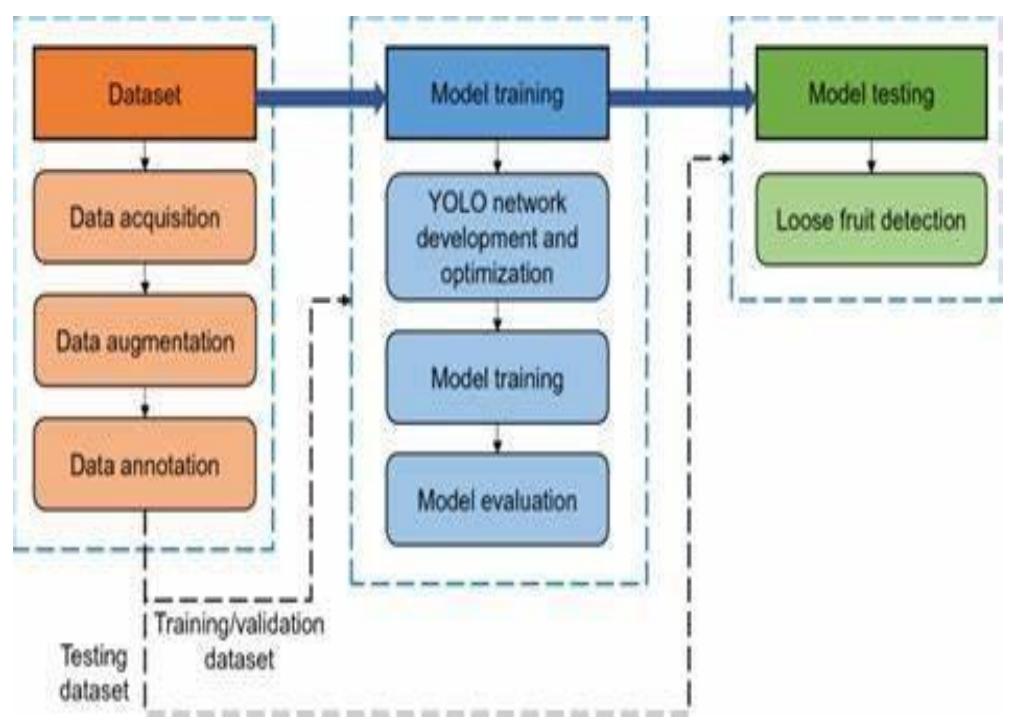 (PDF) Fruits and Vegetables Detection using YOLO Algorithm