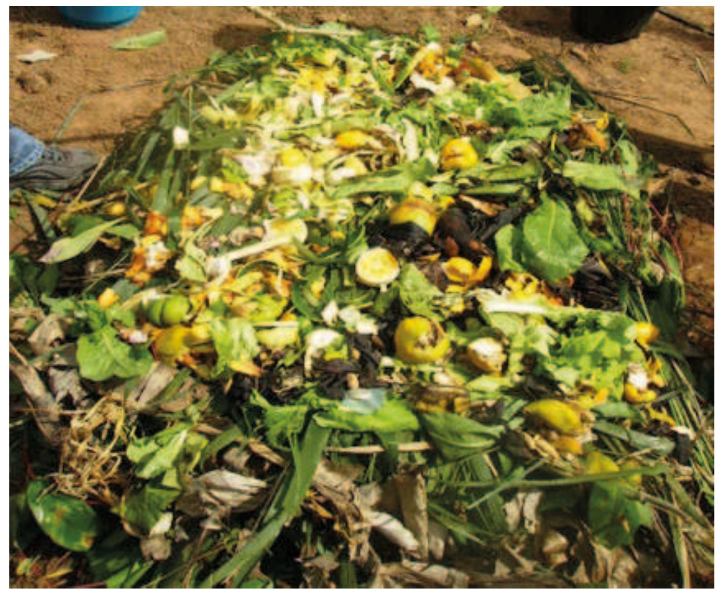 Figure 2 - from COMPOSTING AS A TOOL FOR ENVIRONMENTAL