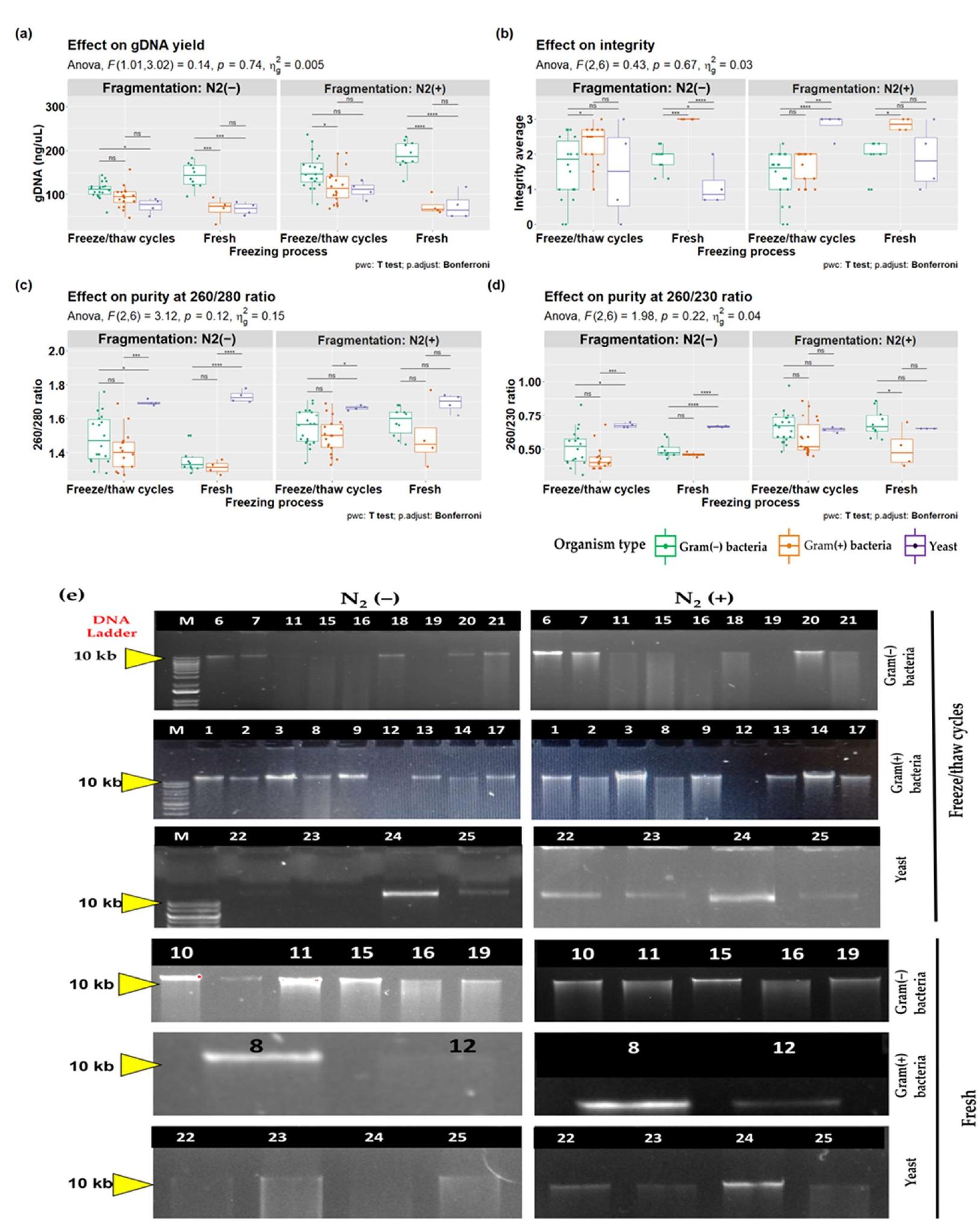 Gdna Sample (PDF) Improvement and Validation of a Genomic DNA Extraction Method for ...