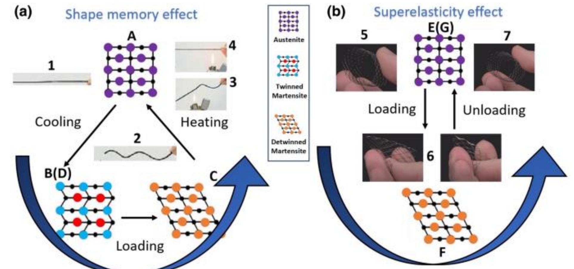 (PDF) Mechanical Properties of NiTi Based Shape Memory Alloy used in ...