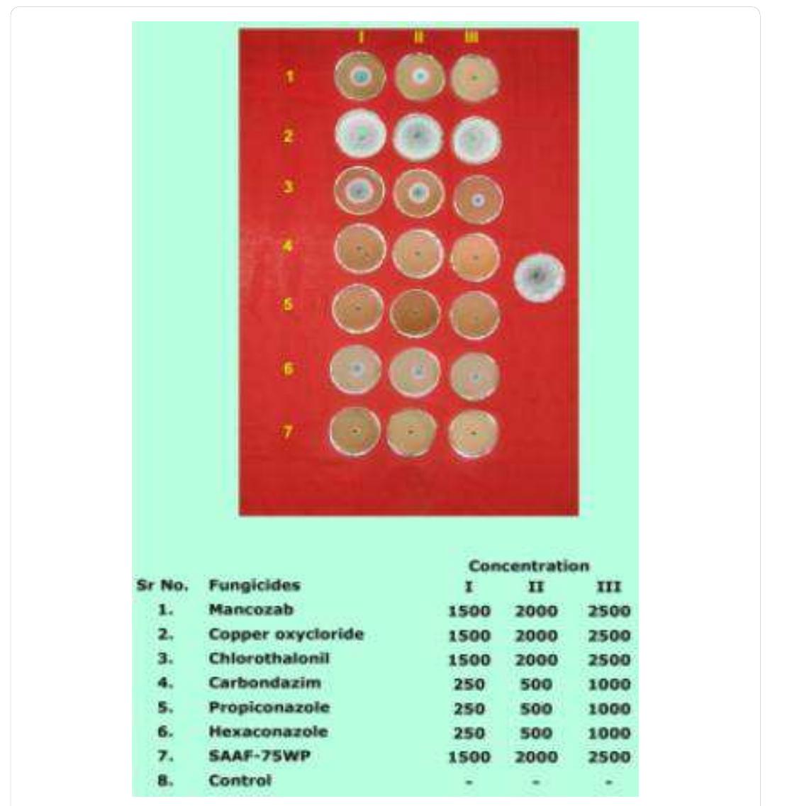 (PDF) Management of Banana (Musa Paradisiaca 1 L) Fruit Rot Diseases ...