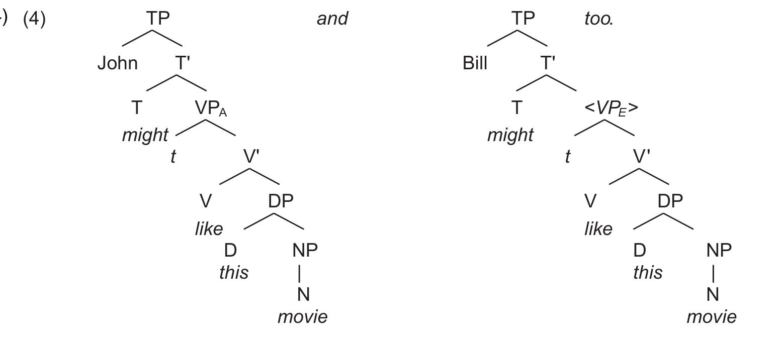 Figure 1 - from Identity in ellipsis: An introduction