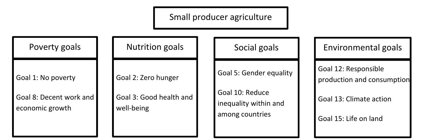 (PDF) Transforming Smallholder Agriculture to Achieve the SDGs