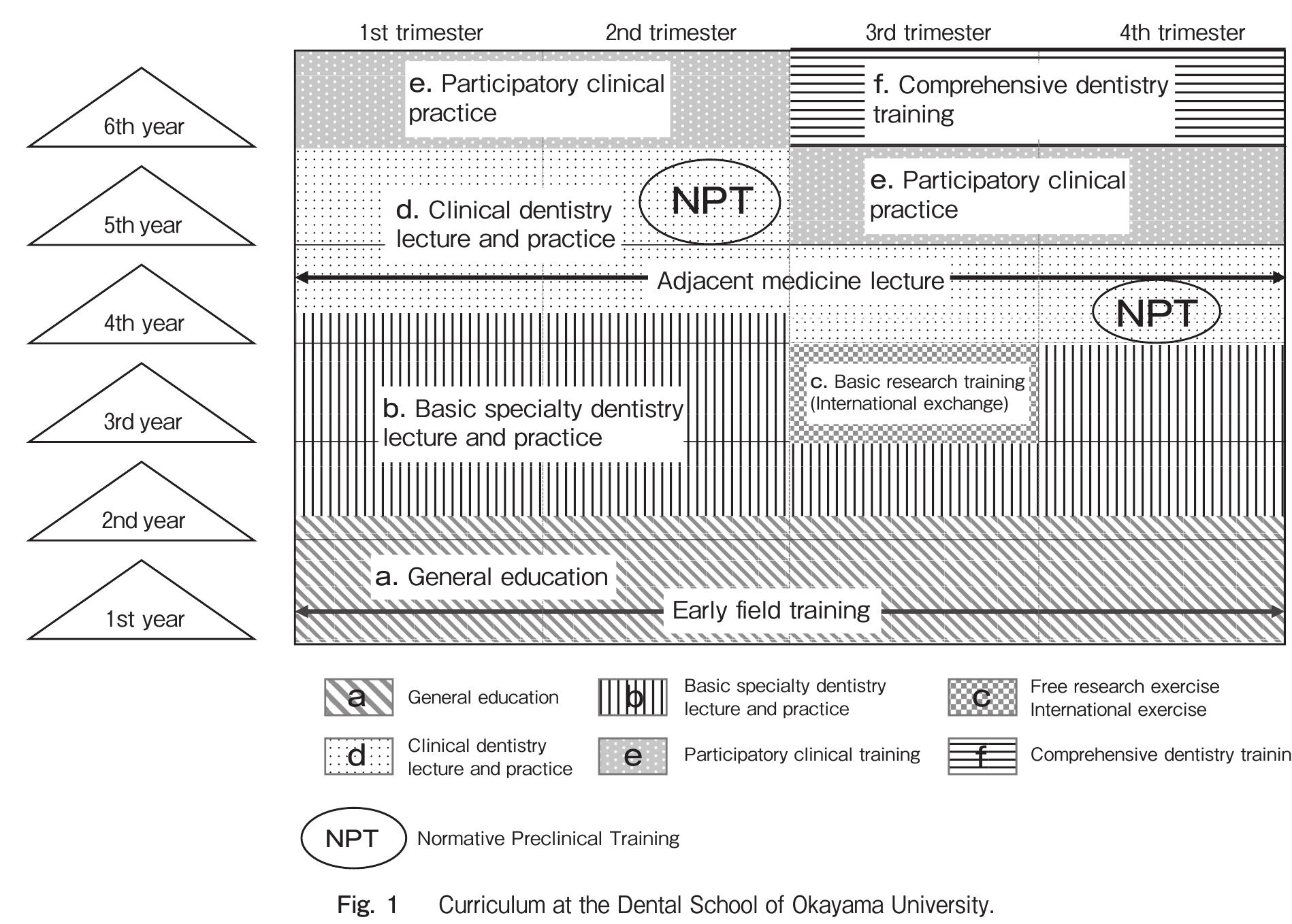 (PDF) Personalized Preclinical Training in Dental Ergonomics and ...