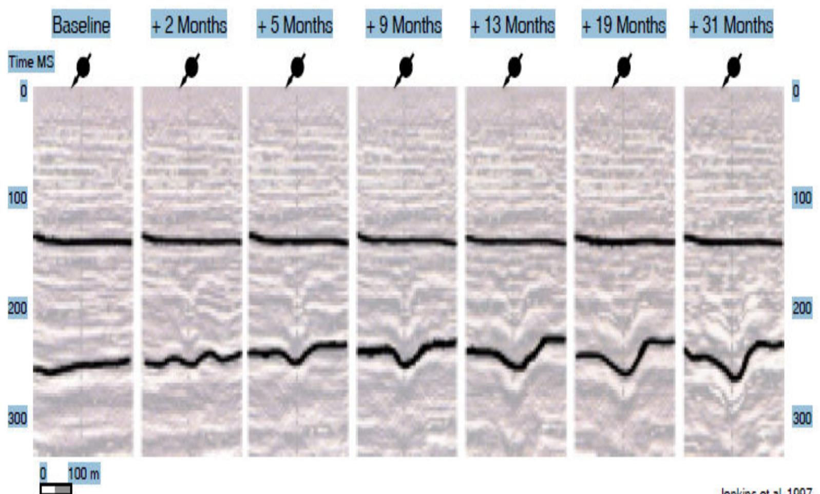 (PDF) 5 Application of Time Lapse (4D) Seismic for Petroleum Reservoir