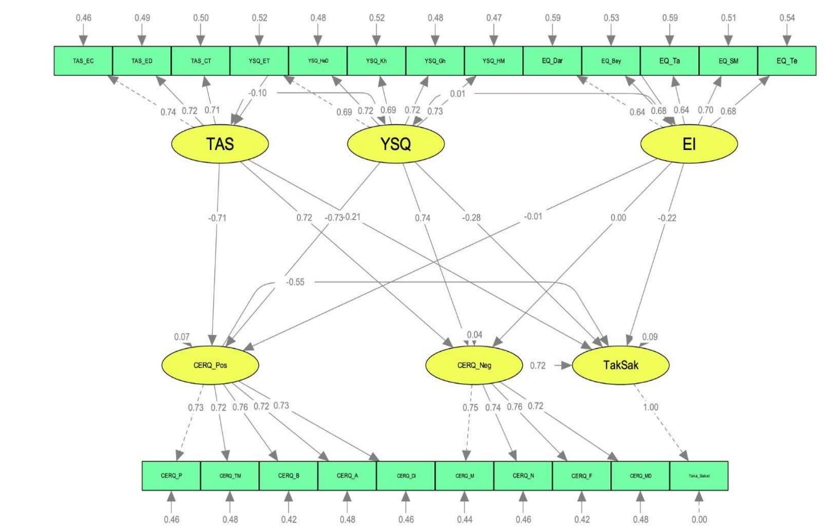(PDF) The Mediating Role of Cognitive Emotion Regulation Strategies in ...