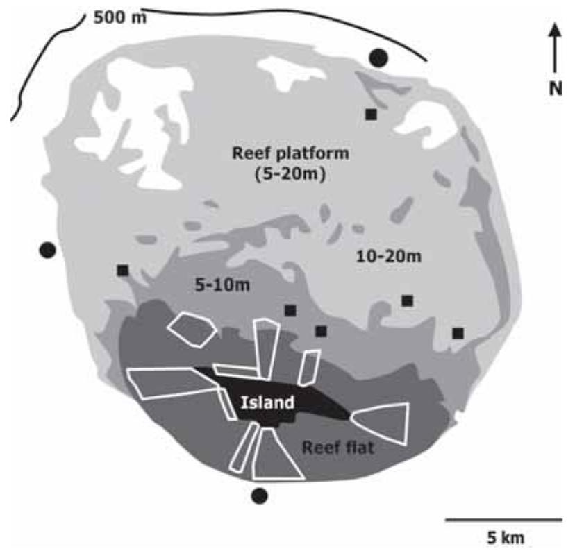 (PDF) Hydroids (Cnidaria, Hydrozoa) of Coral Reefs: Preliminary Results ...