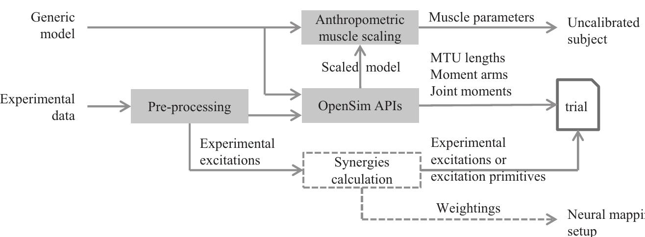Matlab Opensim Api Figure 6 - from CEINMS: A toolbox to investigate the