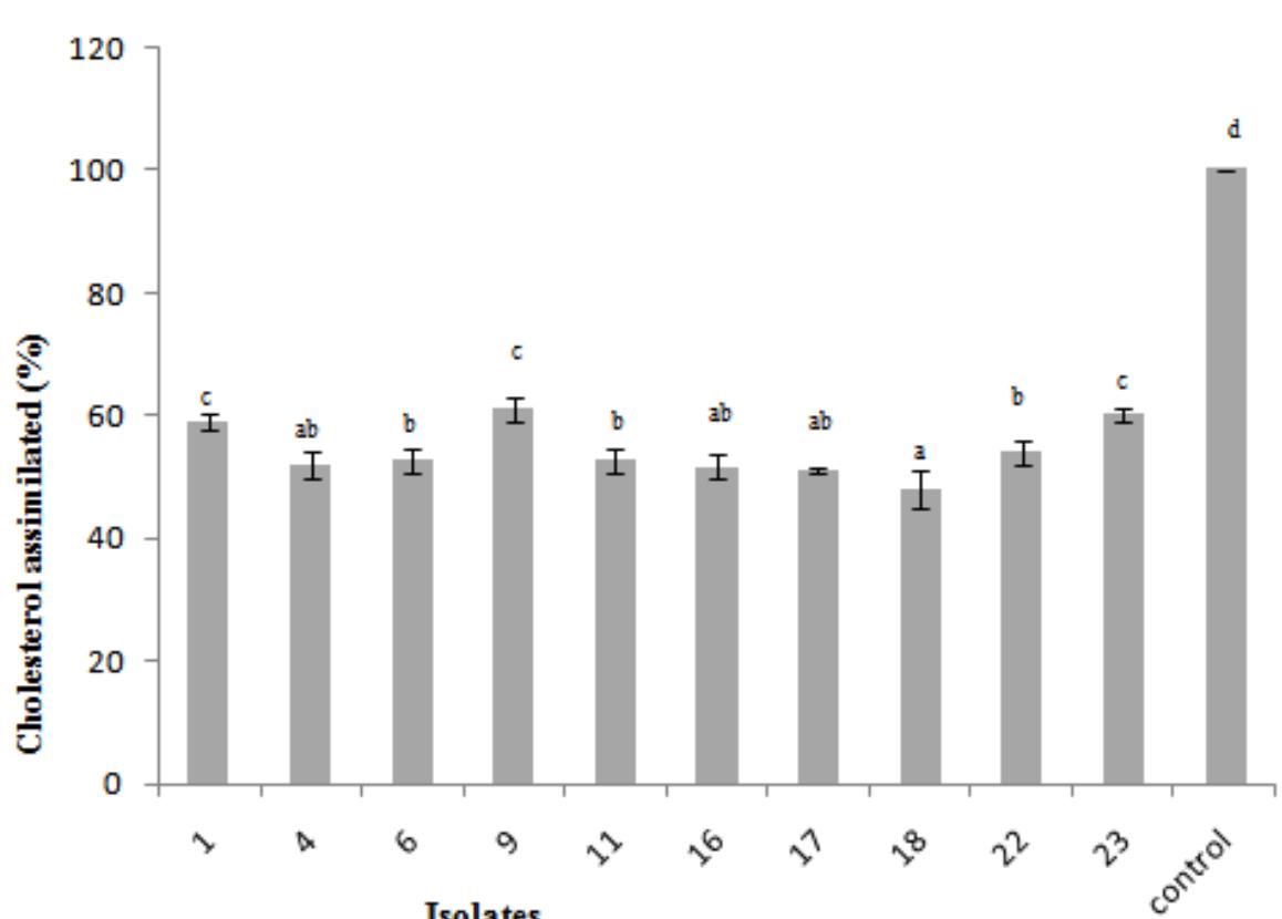 (PDF) ISOLATION AND CHARACTERIZATION OF POTENTIAL PROBIOTICS FROM ...