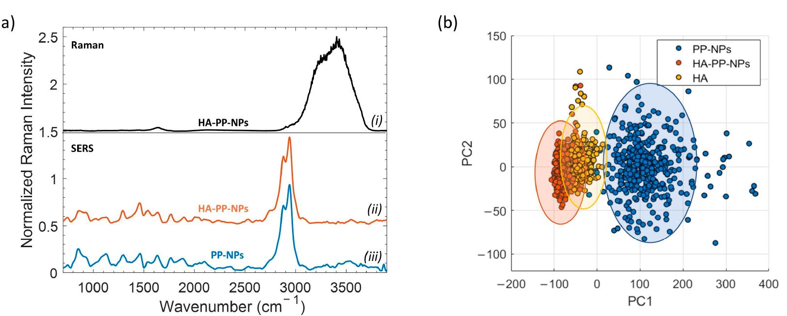 Spectre Raman Pp (a) comparison of (i) raman and sers spectra of ha-pp-np