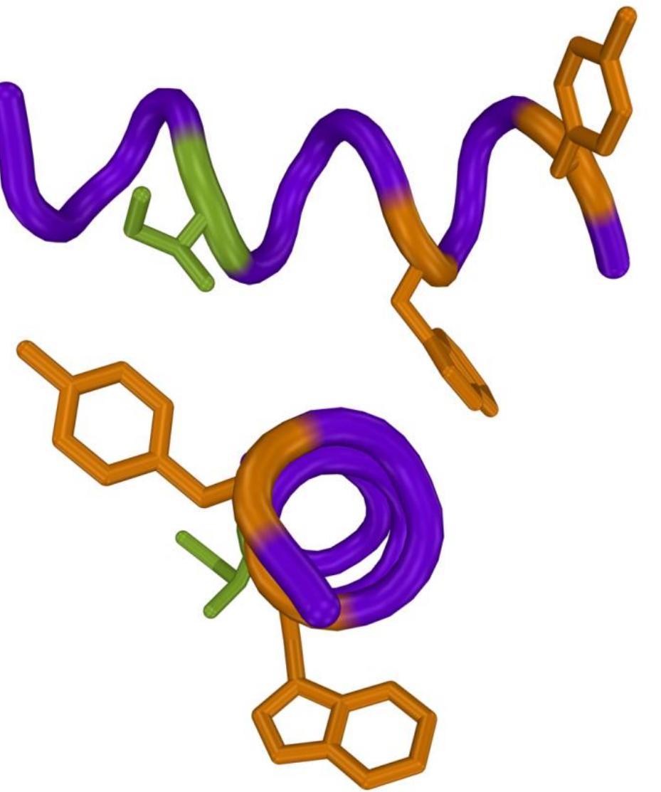 1d proton spectrum of peptide pw” (0.5 mm)/mdm2 (0.025 mm)
