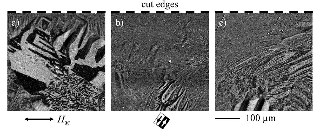 Moke micrographs of the cut specimens at (a) spark eroded,