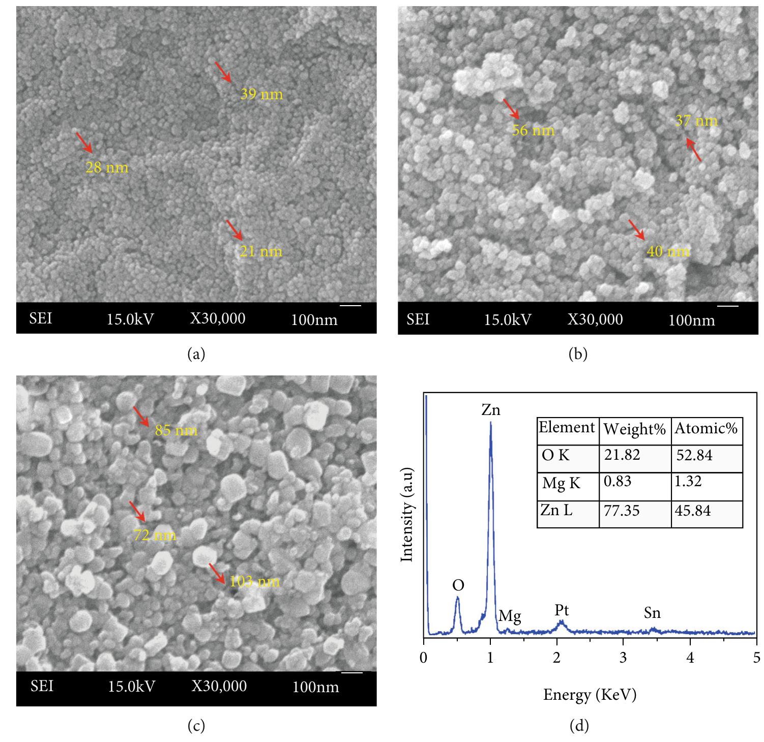 Scanning electron microscope images of mg-doped zno with