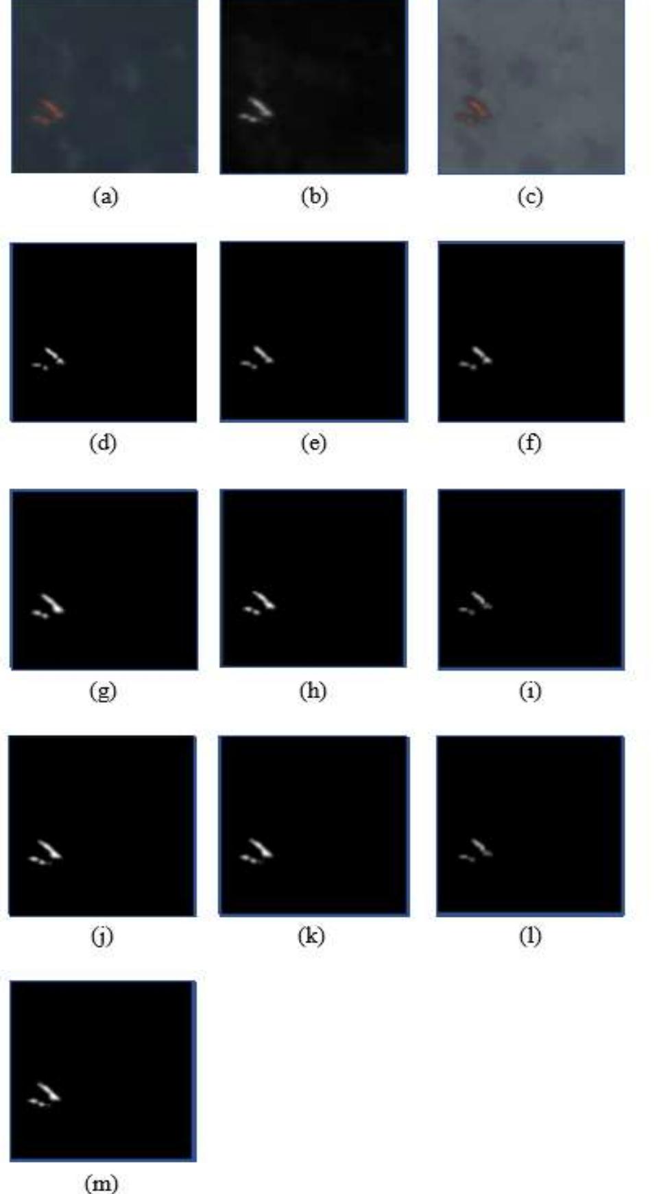 (PDF) Satellite Data for Forest Fire Detection using Deep learning
